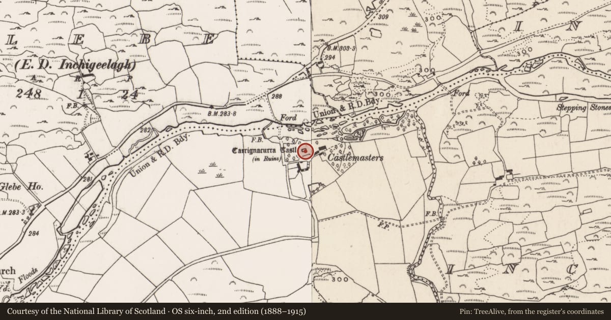 Ordnance Survey six-inch map, 2nd edition (1888–1915) covering the location of Castle - tower house, Carrignacurra, County Cork, with a pin at the register's coordinates