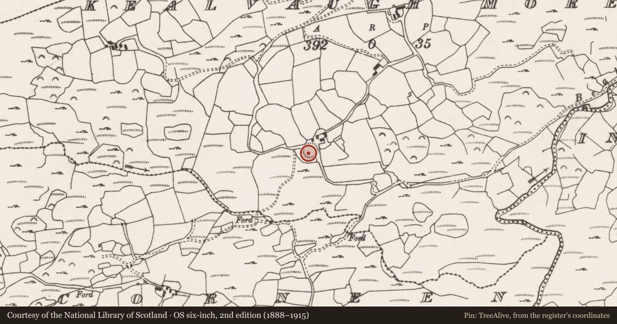 Ordnance Survey six-inch map, 2nd edition (1888–1915) covering the location of Ringfort - rath, Caolmhagh Mór, County Cork, with a pin at the register's coordinates