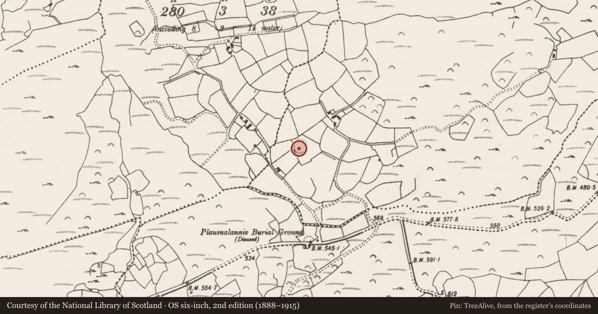 Ordnance Survey six-inch map, 2nd edition (1888–1915) covering the location of Ringfort - rath, Coornahahilly, County Cork, with a pin at the register's coordinates