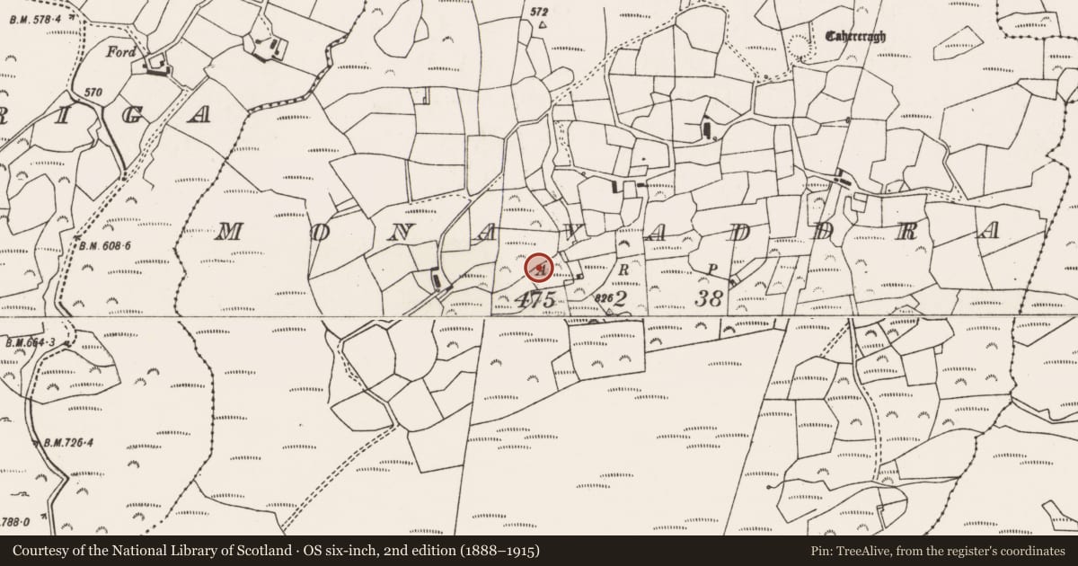 Ordnance Survey six-inch map, 2nd edition (1888–1915) covering the location of Standing stone, Monavaddra, County Cork, with a pin at the register's coordinates