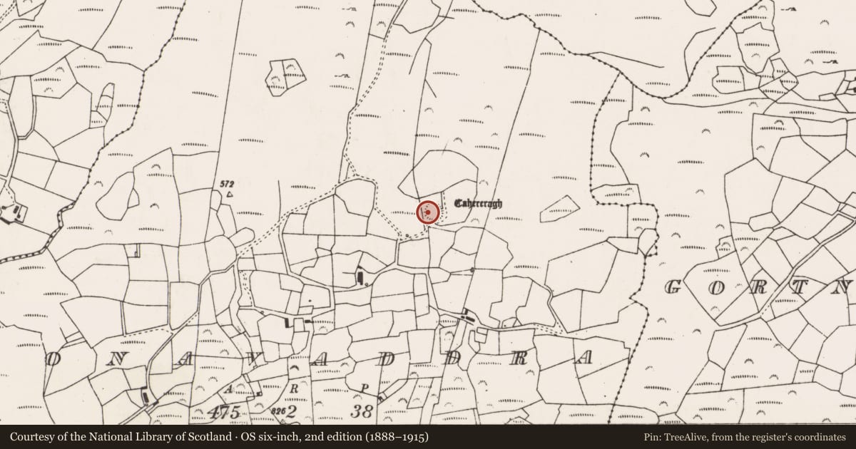 Ordnance Survey six-inch map, 2nd edition (1888–1915) covering the location of Ringfort - cashel, Monavaddra, County Cork, with a pin at the register's coordinates