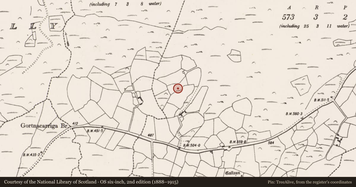 Ordnance Survey six-inch map, 2nd edition (1888–1915) covering the location of Ringfort - rath, Cooragreenane, County Cork, with a pin at the register's coordinates