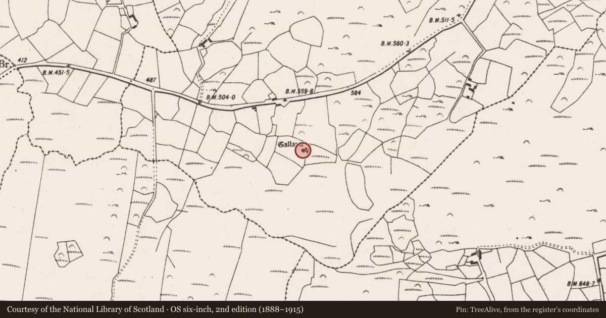 Ordnance Survey six-inch map, 2nd edition (1888–1915) covering the location of Standing stone, Cooragreenane, County Cork, with a pin at the register's coordinates