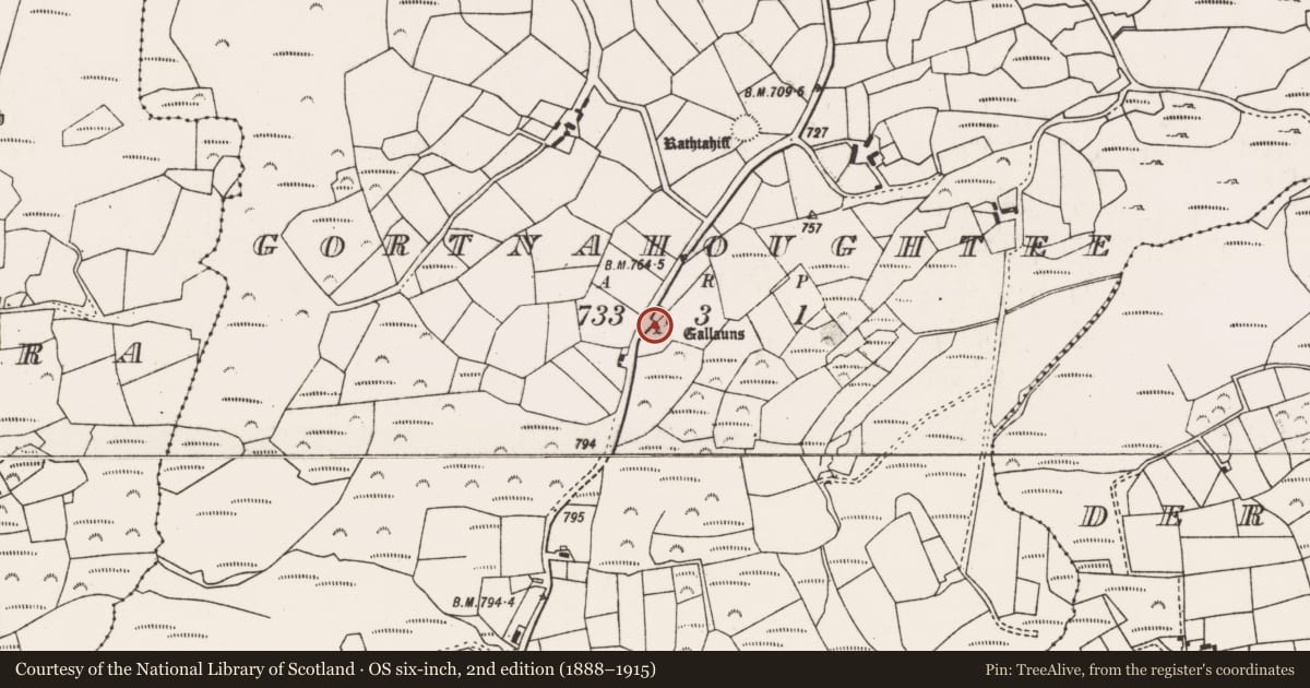 Ordnance Survey six-inch map, 2nd edition (1888–1915) covering the location of Standing stone, Gortnahoughtee, County Cork, with a pin at the register's coordinates