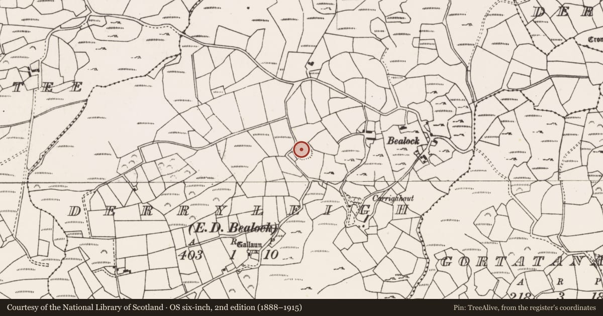 Ordnance Survey six-inch map, 2nd edition (1888–1915) covering the location of Souterrain, Derryleigh (Muskerry West By., Inchigeelagh Par.), County Cork, with a pin at the register's coordinates