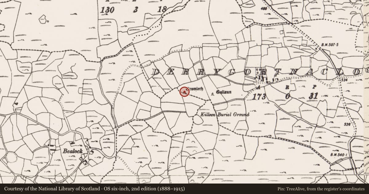 Ordnance Survey six-inch map, 2nd edition (1888–1915) covering the location of Megalithic tomb - wedge tomb, Derrygortnacloghy, County Cork, with a pin at the register's coordinates
