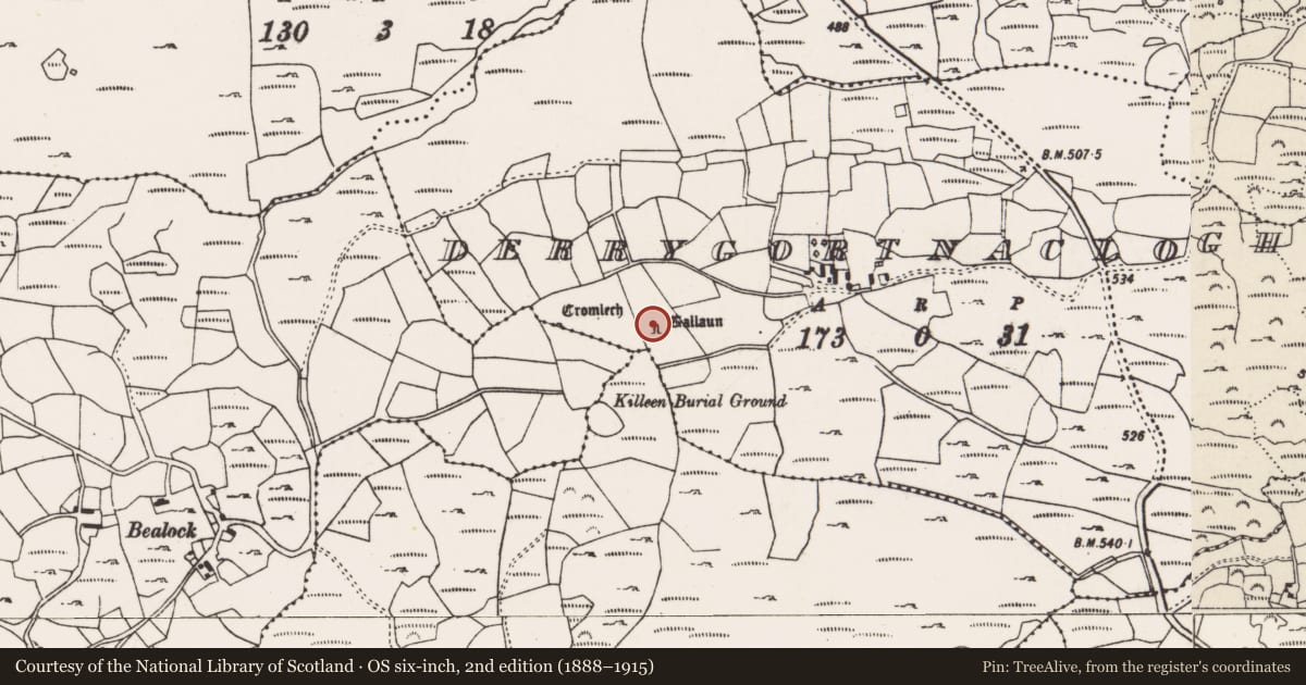 Ordnance Survey six-inch map, 2nd edition (1888–1915) covering the location of Standing stone, Derrygortnacloghy, County Cork, with a pin at the register's coordinates