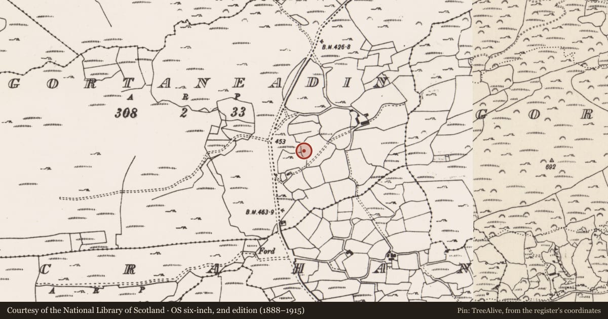 Ordnance Survey six-inch map, 2nd edition (1888–1915) covering the location of Ringfort - rath, Gortaneadin, County Cork, with a pin at the register's coordinates