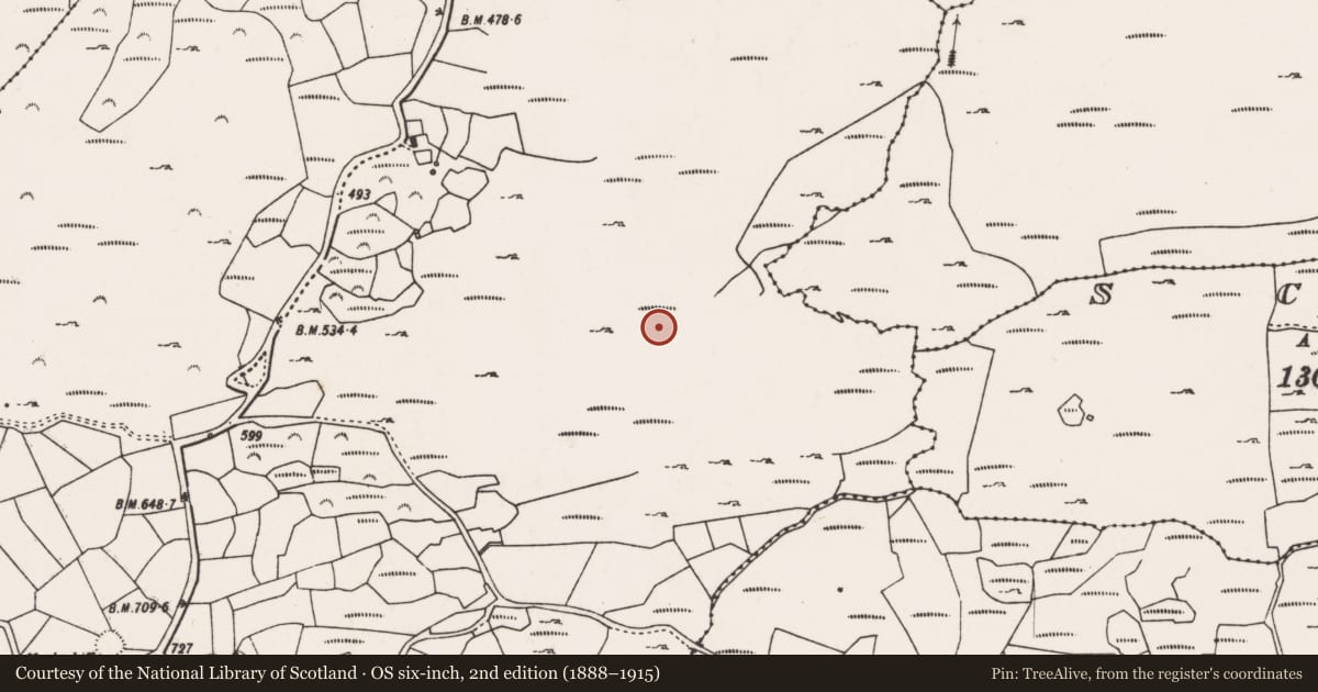 Ordnance Survey six-inch map, 2nd edition (1888–1915) covering the location of Structure, Gortnahoughtee, County Cork, with a pin at the register's coordinates