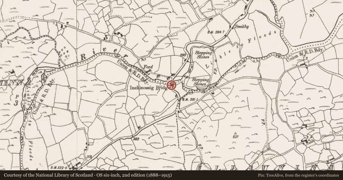 Ordnance Survey six-inch map, 2nd edition (1888–1915) covering the location of Bridge, Inse An Osaidh, Drom An Ailigh, County Cork, with a pin at the register's coordinates