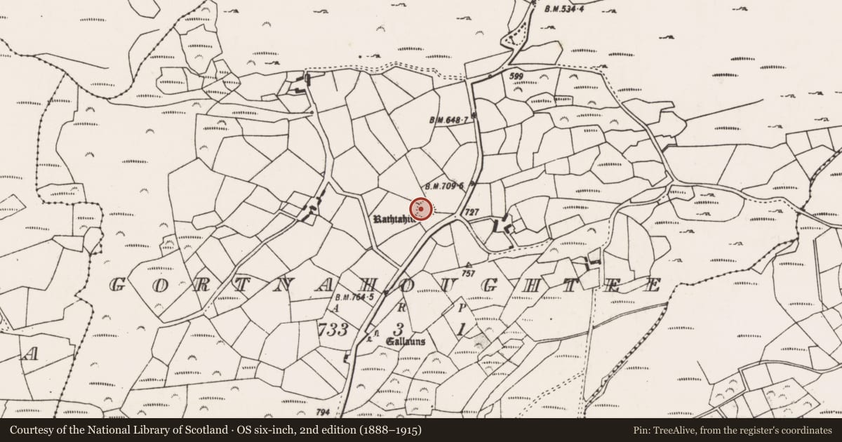 Ordnance Survey six-inch map, 2nd edition (1888–1915) covering the location of Souterrain, Gortnahoughtee, County Cork, with a pin at the register's coordinates