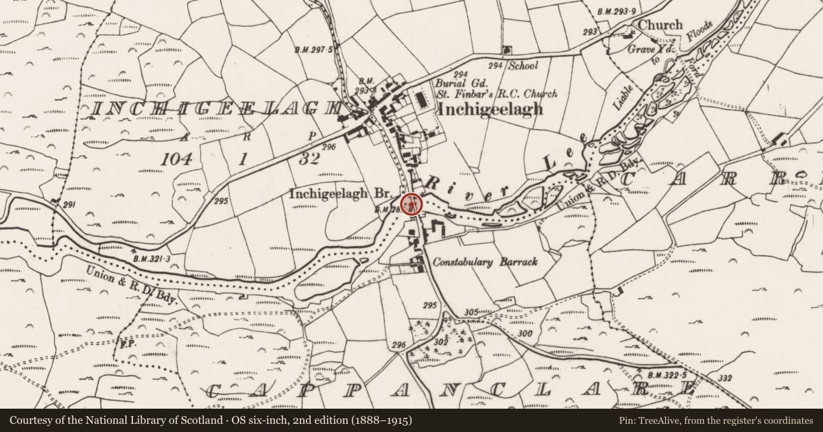 Ordnance Survey six-inch map, 2nd edition (1888–1915) covering the location of Bridge, County Cork, with a pin at the register's coordinates
