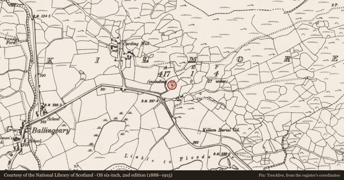 Ordnance Survey six-inch map, 2nd edition (1888–1915) covering the location of Fulacht fia, Kilmore, County Cork, with a pin at the register's coordinates
