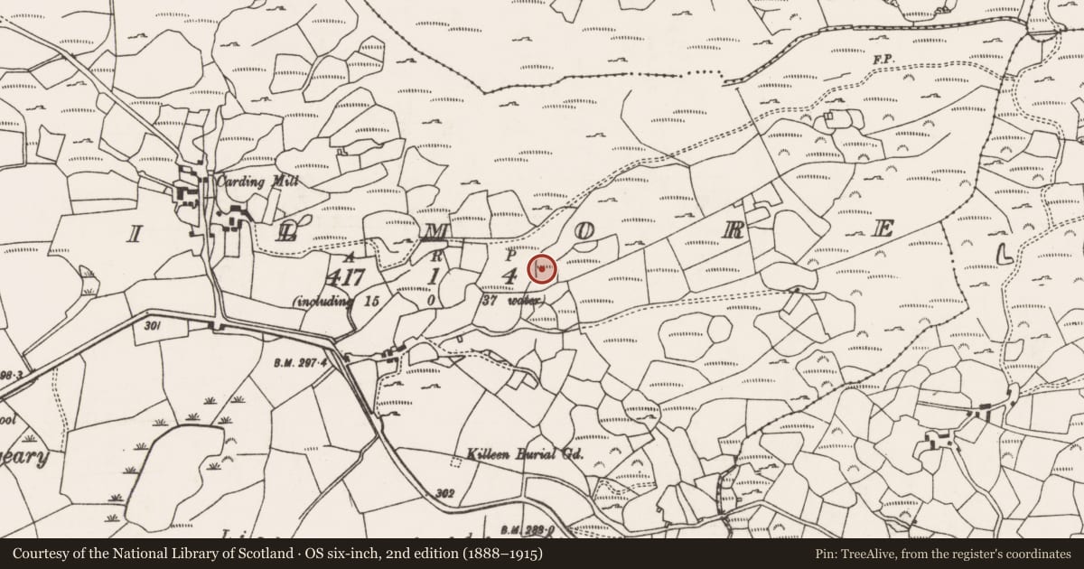 Ordnance Survey six-inch map, 2nd edition (1888–1915) covering the location of Fulacht fia, Kilmore, County Cork, with a pin at the register's coordinates