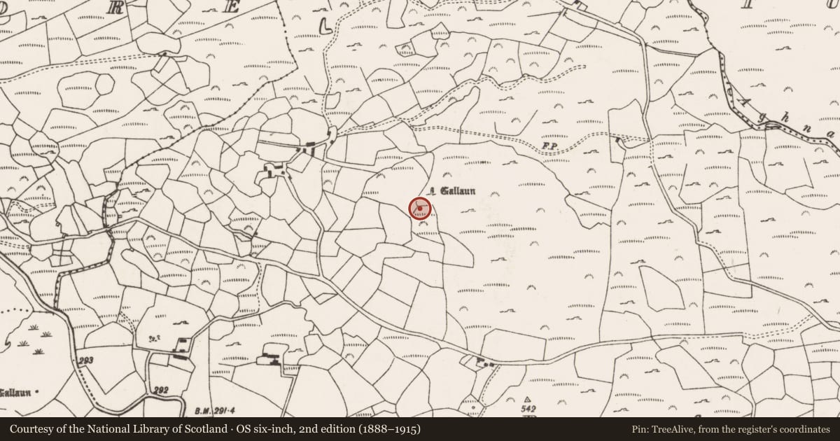 Ordnance Survey six-inch map, 2nd edition (1888–1915) covering the location of Mass-house, Na Curraithe, County Cork, with a pin at the register's coordinates