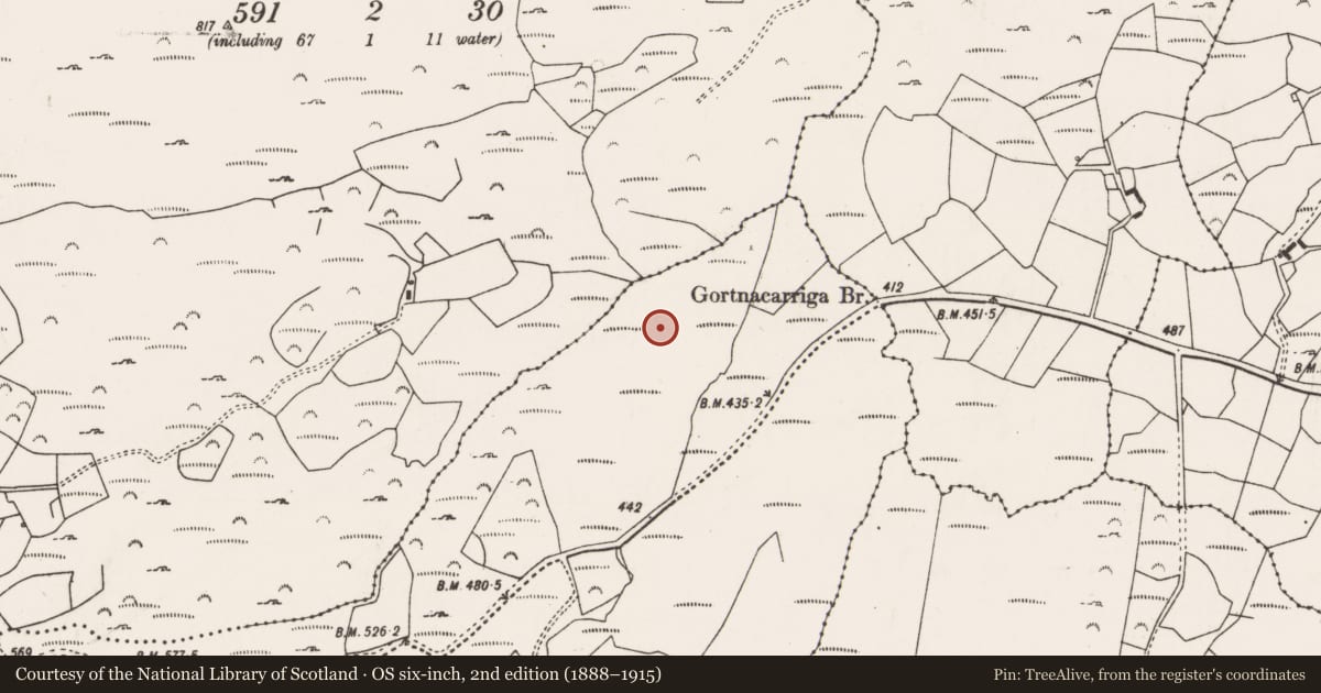 Ordnance Survey six-inch map, 2nd edition (1888–1915) covering the location of Megalithic tomb - wedge tomb, Gortnacarriga, County Cork, with a pin at the register's coordinates