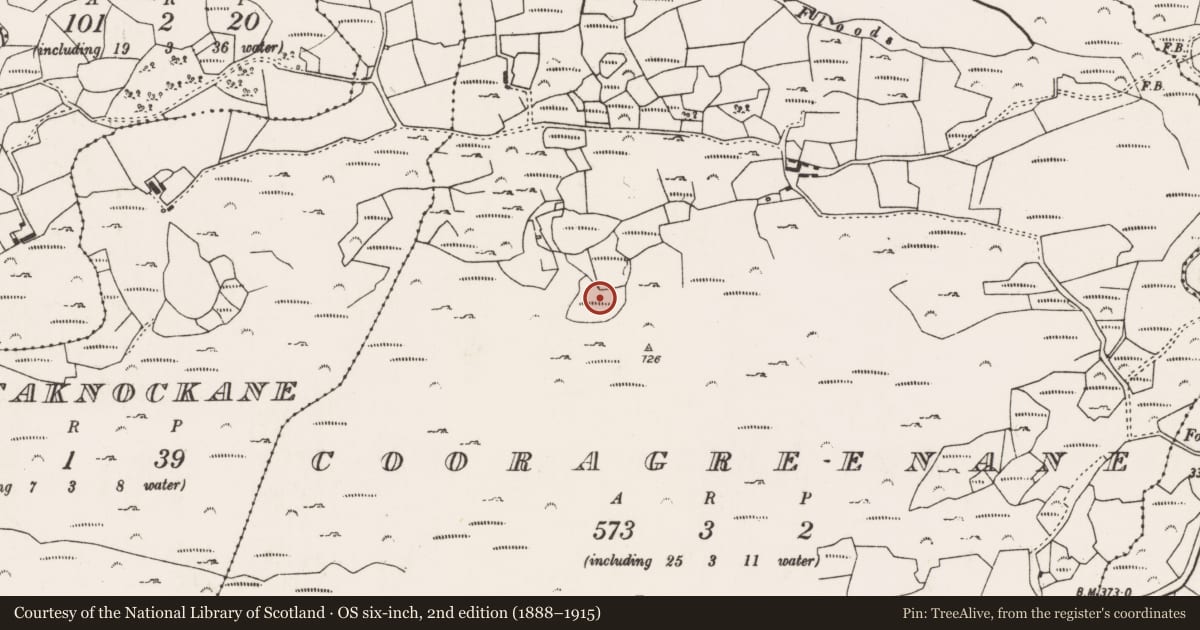 Ordnance Survey six-inch map, 2nd edition (1888–1915) covering the location of Boulder-burial, Cooragreenane, County Cork, with a pin at the register's coordinates