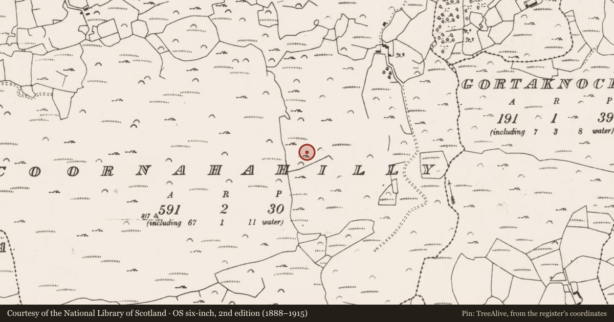Ordnance Survey six-inch map, 2nd edition (1888–1915) covering the location of Megalithic structure, Coornahahilly, County Cork, with a pin at the register's coordinates