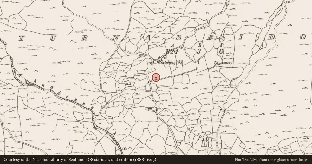 Ordnance Survey six-inch map, 2nd edition (1888–1915) covering the location of Burnt mound, Turnaspidogy, County Cork, with a pin at the register's coordinates