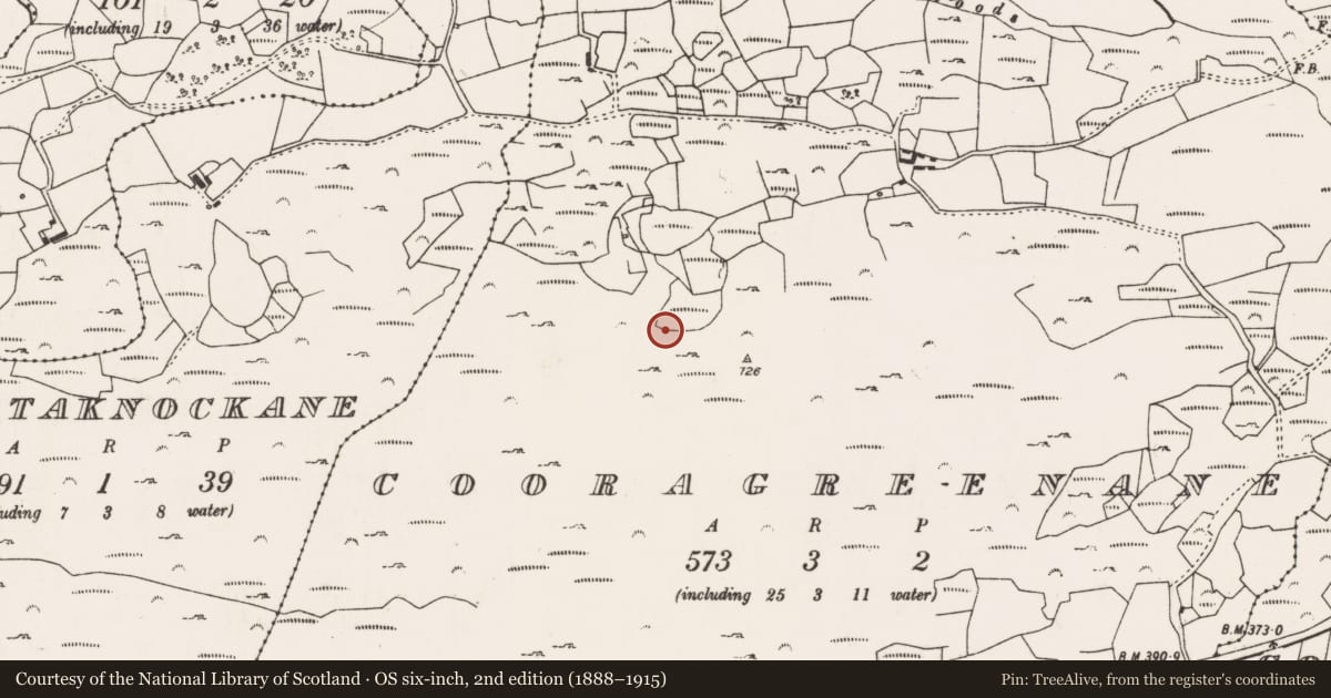 Ordnance Survey six-inch map, 2nd edition (1888–1915) covering the location of Enclosure, Cooragreenane, County Cork, with a pin at the register's coordinates