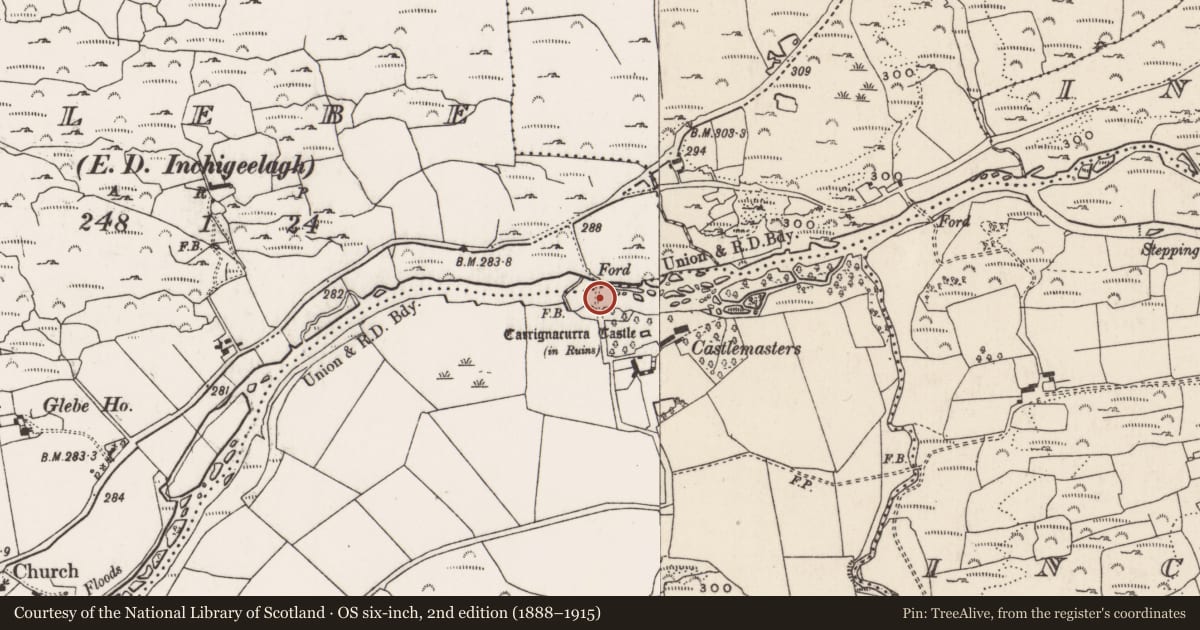 Ordnance Survey six-inch map, 2nd edition (1888–1915) covering the location of Ford, County Cork, with a pin at the register's coordinates
