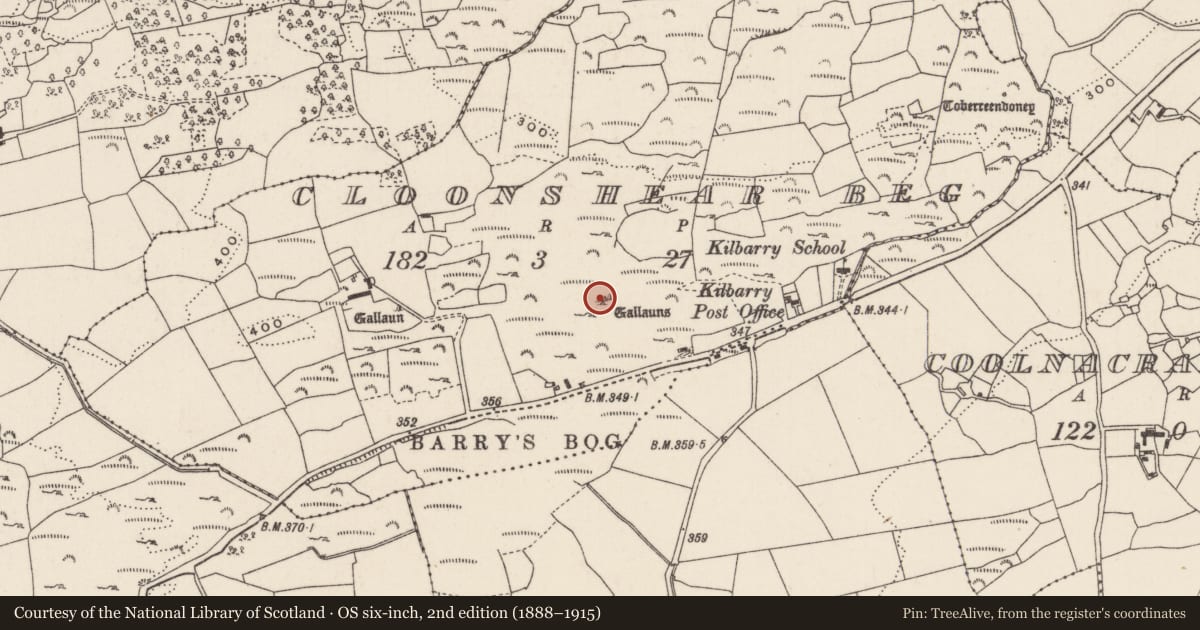 Ordnance Survey six-inch map, 2nd edition (1888–1915) covering the location of Stone row, Cloonshear Beg, County Cork, with a pin at the register's coordinates
