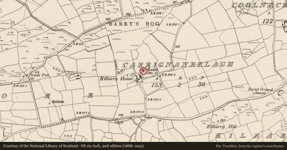 Ordnance Survey six-inch map, 2nd edition (1888–1915) covering the location of Castle - unclassified, Carrignaneelagh, County Cork, with a pin at the register's coordinates