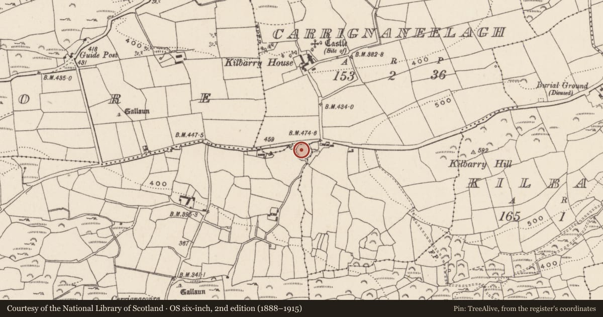 Ordnance Survey six-inch map, 2nd edition (1888–1915) covering the location of Ringfort - rath, Inchinaneave, County Cork, with a pin at the register's coordinates