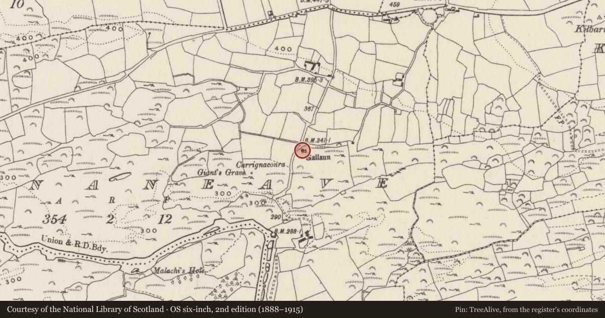 Ordnance Survey six-inch map, 2nd edition (1888–1915) covering the location of Standing stone, Inchinaneave, County Cork, with a pin at the register's coordinates