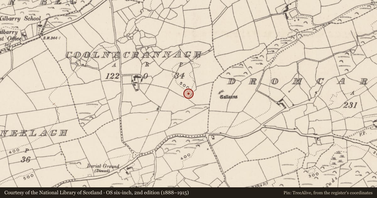 Ordnance Survey six-inch map, 2nd edition (1888–1915) covering the location of Slab-lined burial, Coolnacrannagh, County Cork, with a pin at the register's coordinates