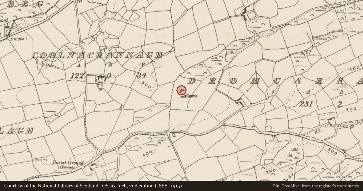 Ordnance Survey six-inch map, 2nd edition (1888–1915) covering the location of Stone row, Dromcarra North, County Cork, with a pin at the register's coordinates