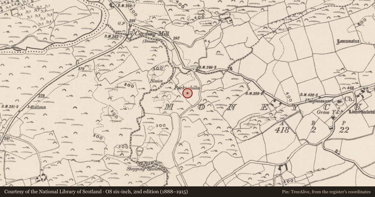 Ordnance Survey six-inch map, 2nd edition (1888–1915) covering the location of Souterrain, Moneycusker, County Cork, with a pin at the register's coordinates