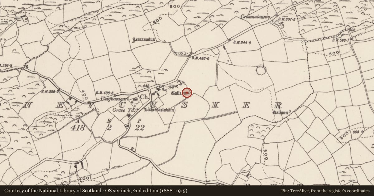 Ordnance Survey six-inch map, 2nd edition (1888–1915) covering the location of Standing stone, Moneycusker, County Cork, with a pin at the register's coordinates