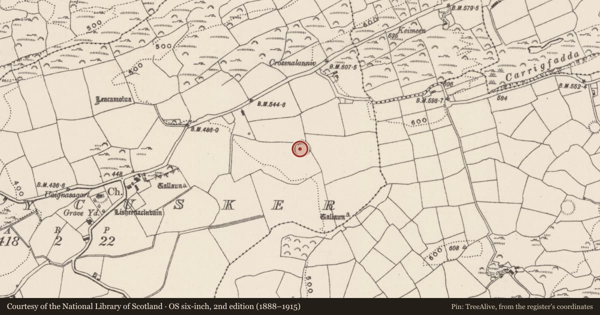 Ordnance Survey six-inch map, 2nd edition (1888–1915) covering the location of Ringfort - rath, Moneycusker, County Cork, with a pin at the register's coordinates