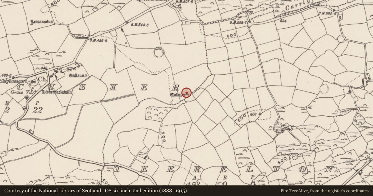 Ordnance Survey six-inch map, 2nd edition (1888–1915) covering the location of Standing stone, Moneycusker, County Cork, with a pin at the register's coordinates