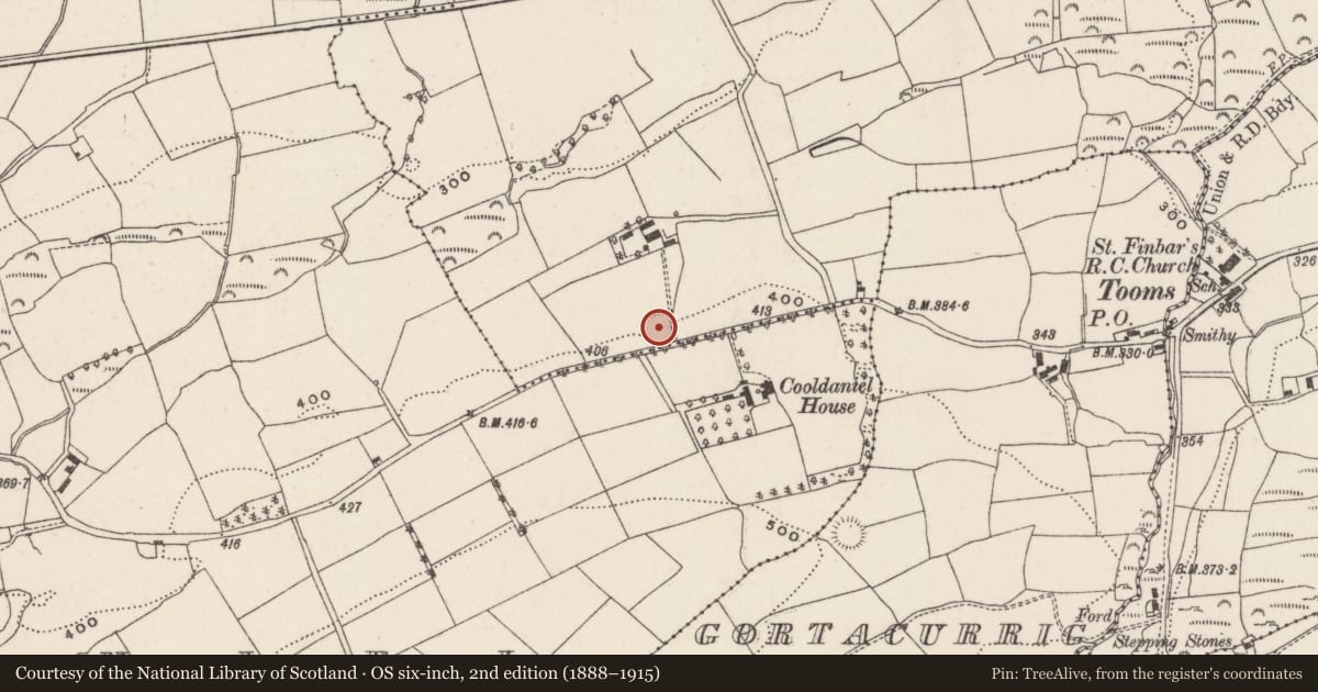 Ordnance Survey six-inch map, 2nd edition (1888–1915) covering the location of Ringfort - rath, Dromkeen, County Cork, with a pin at the register's coordinates