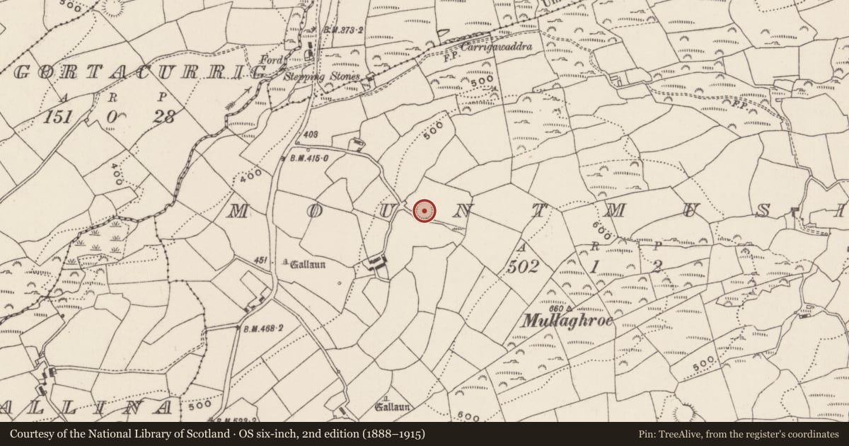 Ordnance Survey six-inch map, 2nd edition (1888–1915) covering the location of Ringfort - rath, Mountmusic, County Cork, with a pin at the register's coordinates