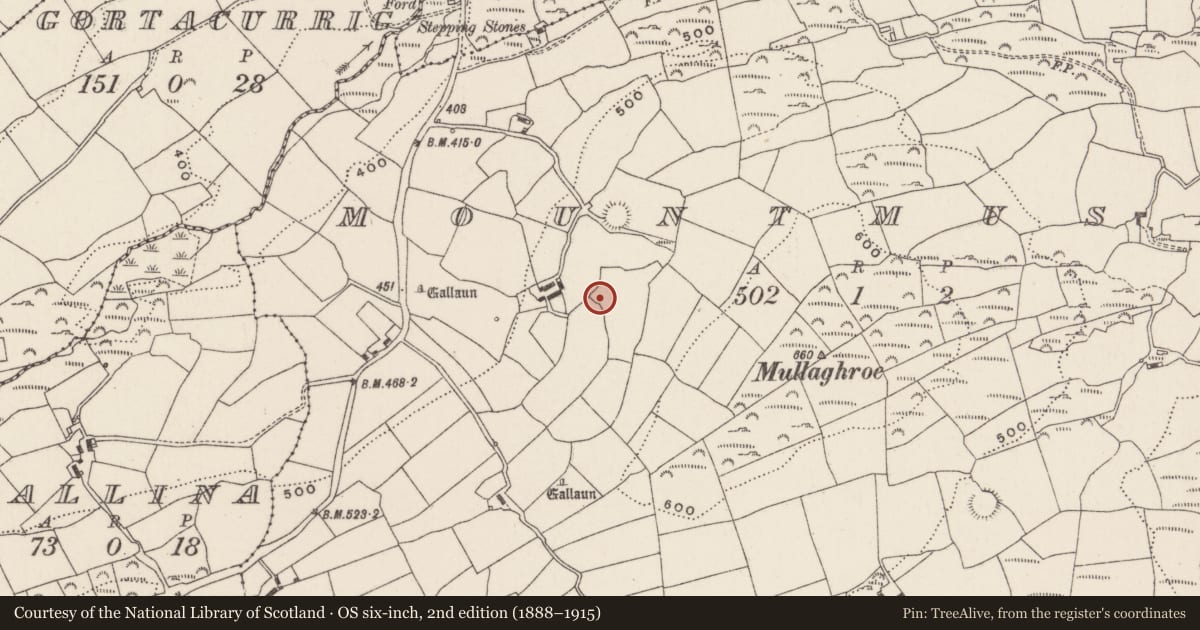 Ordnance Survey six-inch map, 2nd edition (1888–1915) covering the location of Standing stone, Mountmusic, County Cork, with a pin at the register's coordinates