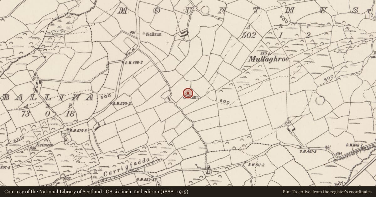 Ordnance Survey six-inch map, 2nd edition (1888–1915) covering the location of Standing stone, Mountmusic, County Cork, with a pin at the register's coordinates