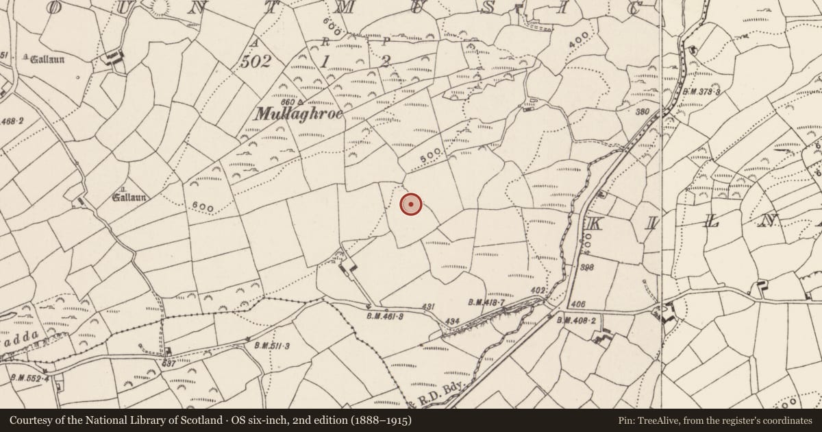 Ordnance Survey six-inch map, 2nd edition (1888–1915) covering the location of Ringfort - rath, Mountmusic, County Cork, with a pin at the register's coordinates