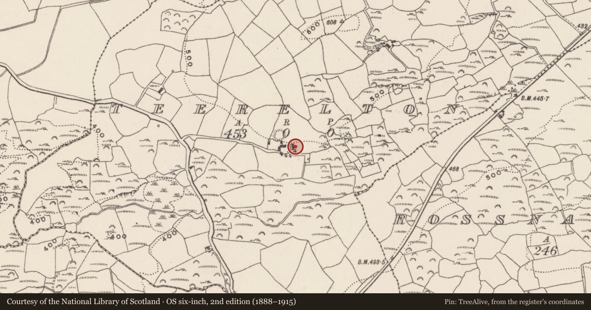 Ordnance Survey six-inch map, 2nd edition (1888–1915) covering the location of Souterrain, Teerelton, County Cork, with a pin at the register's coordinates