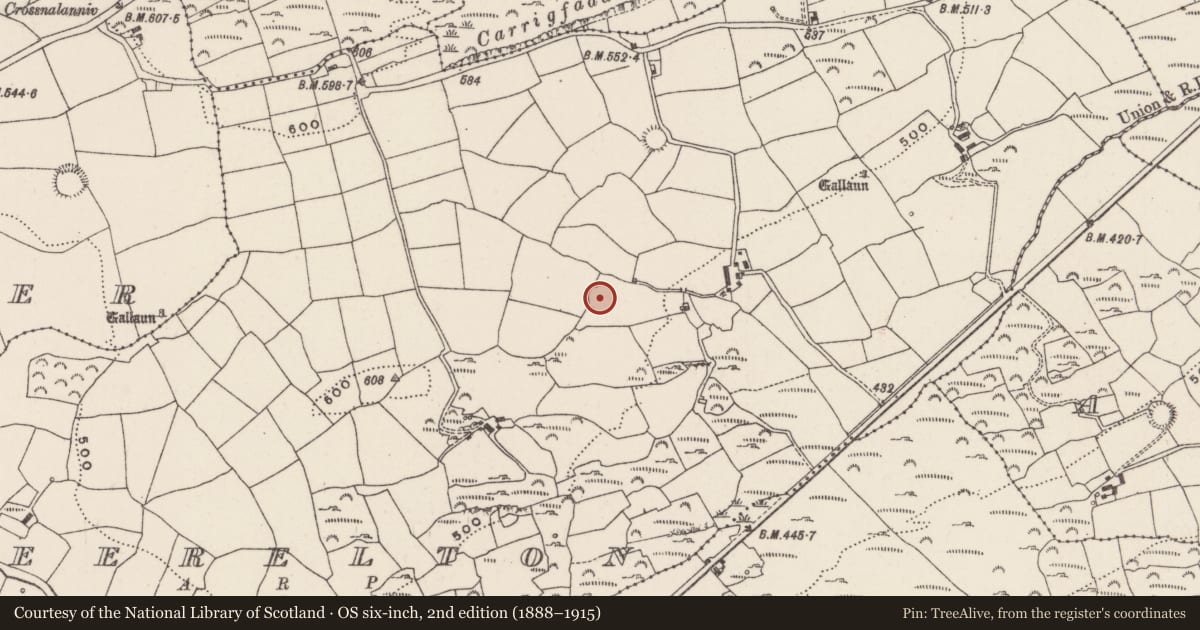 Ordnance Survey six-inch map, 2nd edition (1888–1915) covering the location of Ringfort - rath, Teerelton, County Cork, with a pin at the register's coordinates