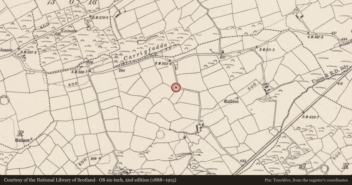Ordnance Survey six-inch map, 2nd edition (1888–1915) covering the location of Souterrain, Teerelton, County Cork, with a pin at the register's coordinates