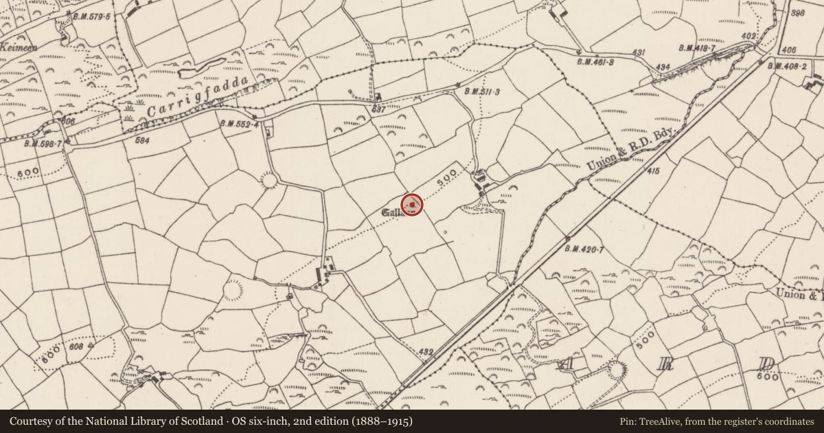 Ordnance Survey six-inch map, 2nd edition (1888–1915) covering the location of Standing stone, Teerelton, County Cork, with a pin at the register's coordinates