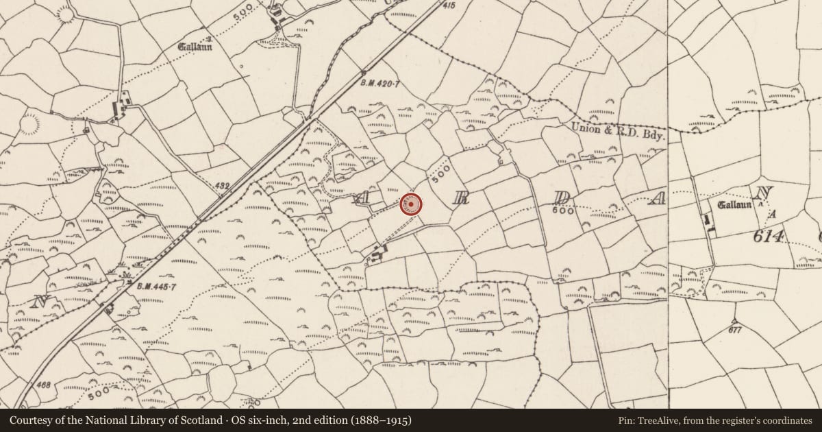 Ordnance Survey six-inch map, 2nd edition (1888–1915) covering the location of Ringfort - rath, Ardaneneen, County Cork, with a pin at the register's coordinates