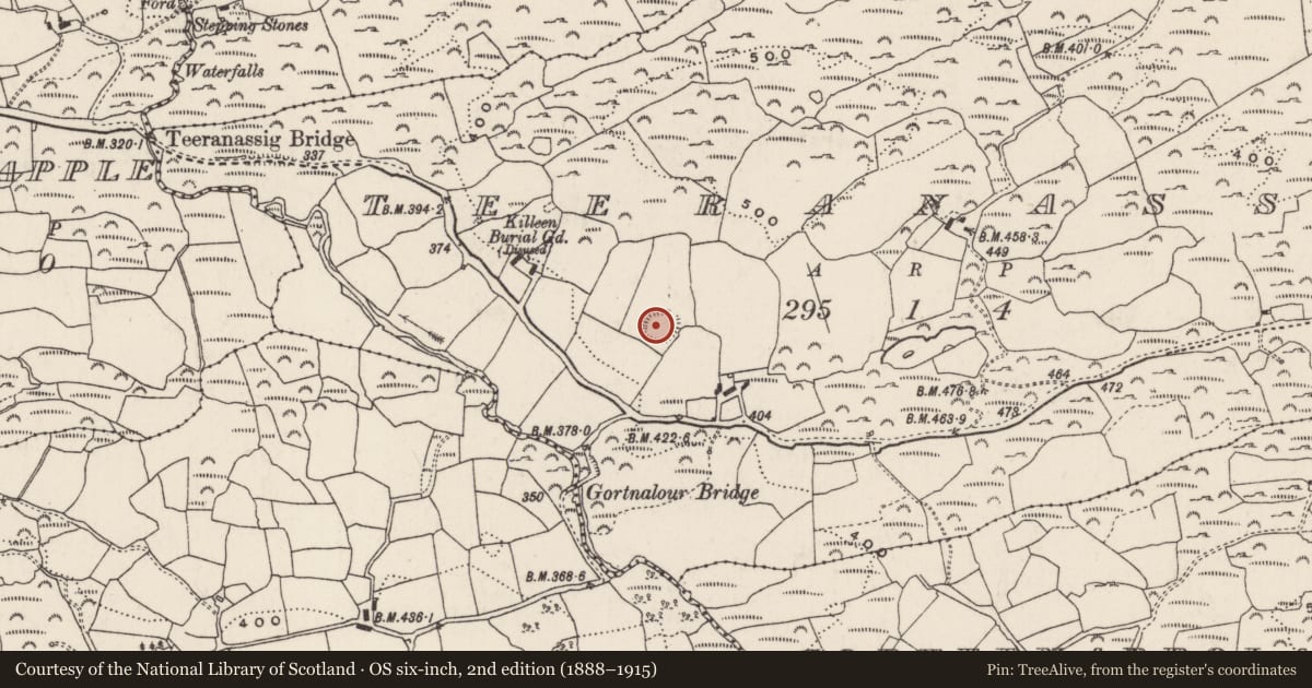 Ordnance Survey six-inch map, 2nd edition (1888–1915) covering the location of Ringfort - rath, Teeranassig, County Cork, with a pin at the register's coordinates