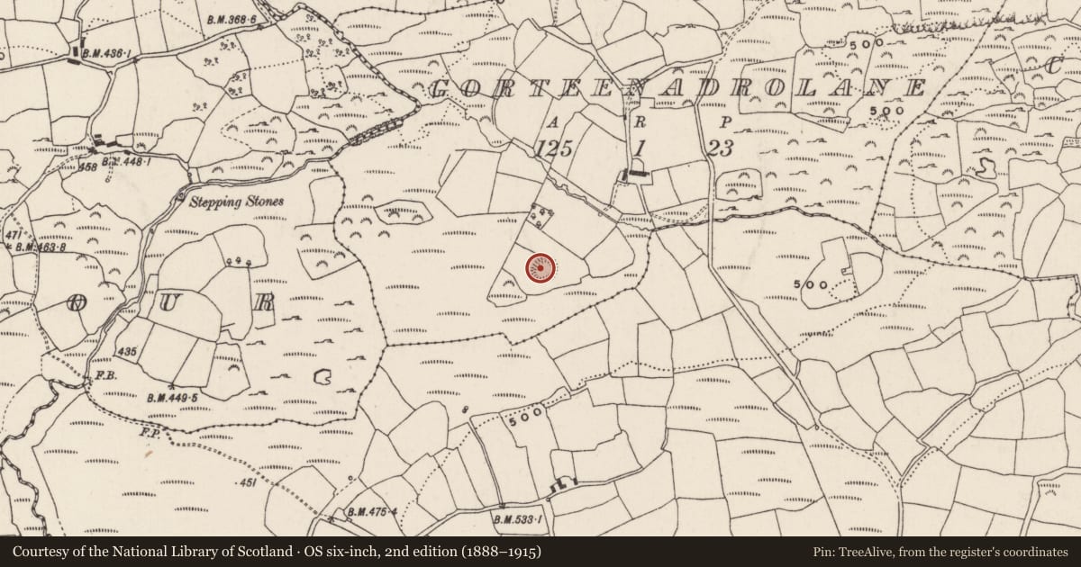 Ordnance Survey six-inch map, 2nd edition (1888–1915) covering the location of Ringfort - rath, Gorteenadrolane, County Cork, with a pin at the register's coordinates