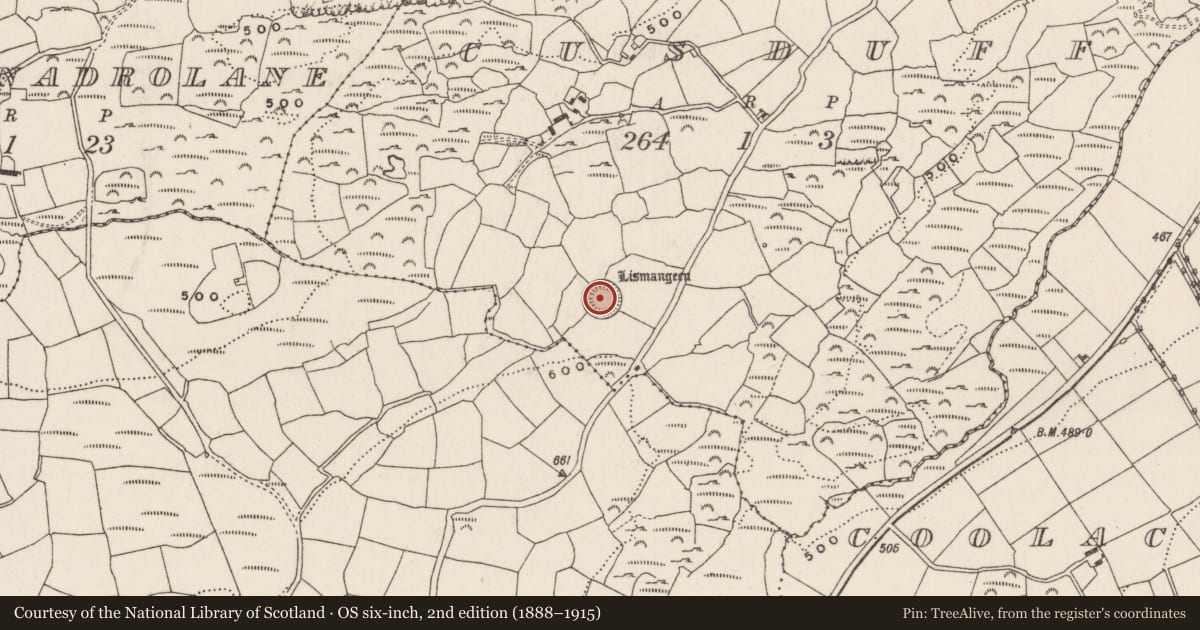 Ordnance Survey six-inch map, 2nd edition (1888–1915) covering the location of Ringfort - rath, Cusduff, County Cork, with a pin at the register's coordinates