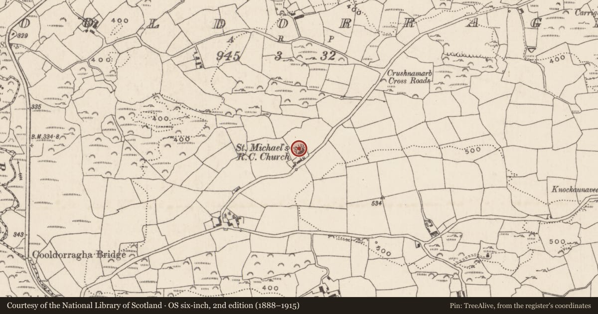 Ordnance Survey six-inch map, 2nd edition (1888–1915) covering the location of Ogham stone, Cooldorragha, County Cork, with a pin at the register's coordinates