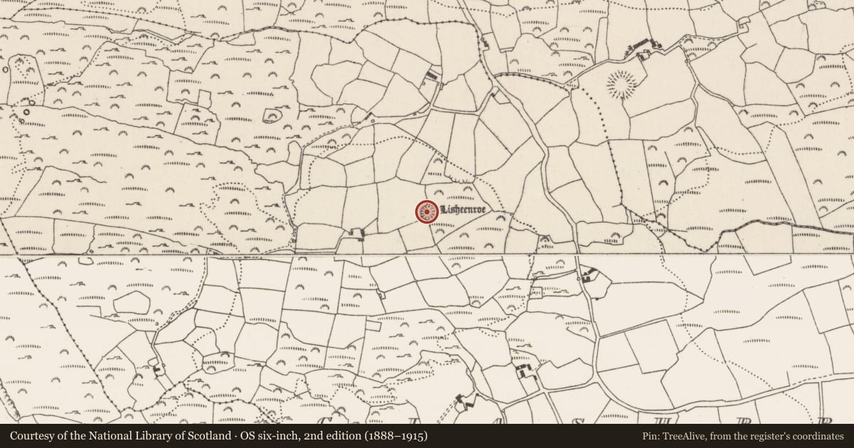 Ordnance Survey six-inch map, 2nd edition (1888–1915) covering the location of Ringfort - rath, Clashbredane, County Cork, with a pin at the register's coordinates